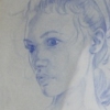 profiles