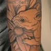 Tiger and rats