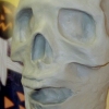 Severed Head Sculpt - Skull Stage