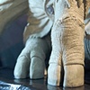 Frankenswine - Final Sculpt Detail