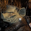 Painting Boaris Frankenswine