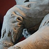 Frankenswine - Final Sculpt Detail