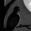 Ladybird - Select Storyboard Frames