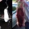Before and After