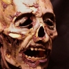Severed Head