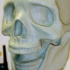 Severed Head Sculpt - Skull Stage