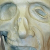 Severed Head Sculpt - Flesh Stage