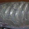 Rib Sculpt - Large Dog