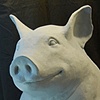 Acme Design Pig Form