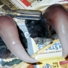 Beast Horns