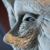 Frankenswine - Final Sculpt Detail