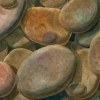 Rock Study