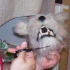 Trimming Small Dog Hair