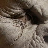 Gargoyle I