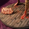 BUMP Treehugger Maquette - Wood Floorboard Base