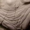 Gargoyle II - Finished Sculpt