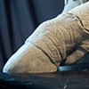 Frankenswine - Final Sculpt Detail
