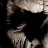 The Zombie