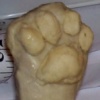 Animal Paw Pads