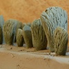 LINK - Additional Back-up Teeth Sculpt
