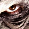 The Zombie