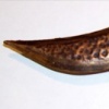 Finished Dagger Blade