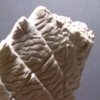 Gargoyle II - Finished Sculpt
