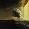 Parasite - Still from Trailer