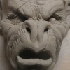 Gargoyle Study