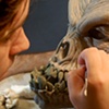 LINK - Finishing Touches