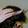 Horn Alignment