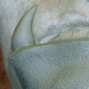 Beast Chin / Tusk Appliance Sculpt