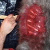 Adding Blood, Guts, & Gore
