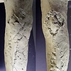 Toby Arm & Leg Sculpts