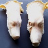 Animal Head Castings