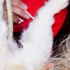 Cat Hair Application
