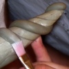 Sculpting the Snakes