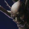 Silence After the Satyric Serenade  -  TreeMan Detail