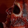 Half Face Make-up Application