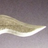 Dagger - Blade /  Handle