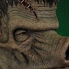Boaris Frankenswine - Face Detail