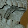 Severed Head Sculpt
