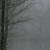 untitled, 2686