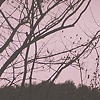 to this Virginia, fertile landscape of soft shoulders