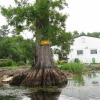 New Kent VA 2008 3531