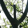 untitled, P1020742