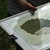 printing out in daylight