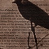 From the Book of Hours, Recalling the Kingbird