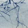 Caligraphy of Trees #4