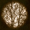 Path of Life